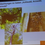 0111 Energie Zukunft BI blaues Eck Andre Heil Folie 08.jpg